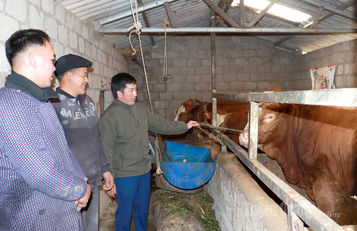 Cán bộ xã Mèo Vạc vận động người dân phát triển 
chăn nuôi bò.