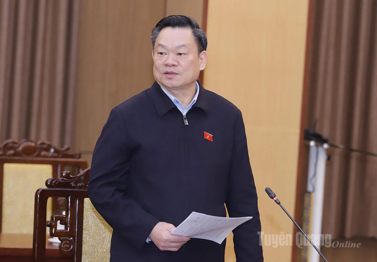 Phó Chủ tịch Thường trực Hội đồng Dân tộc của Quốc hội Hoàng Duy Chinh phát biểu tại buổi giám sát.