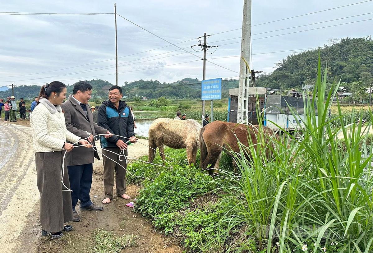 Xã Hòa An trao tặng ngựa giống cho hộ nghèo.