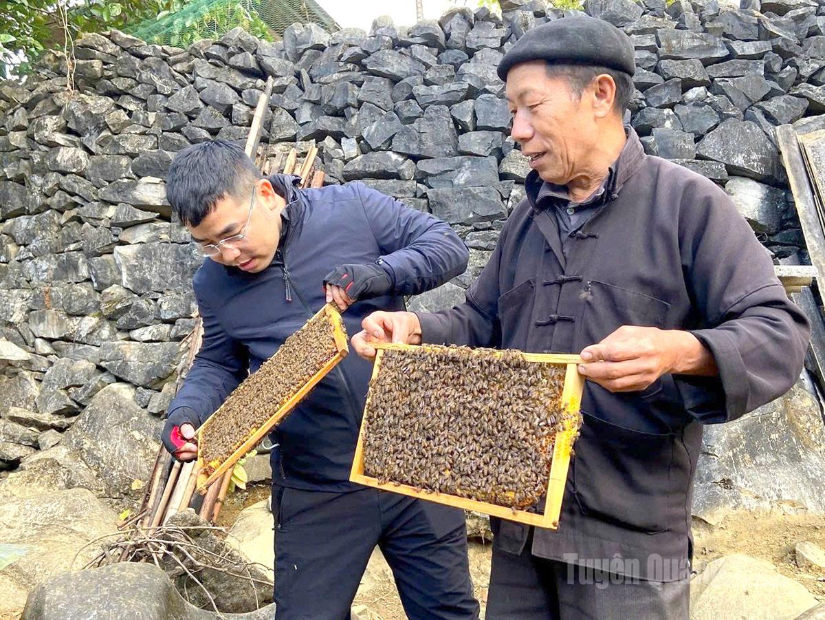 Khu vực nuôi ong được bố trí dọc theo sườn núi đá, nơi có điều kiện phù hợp để ong khai thác nguồn hoa Bạc hà đặc hữu.