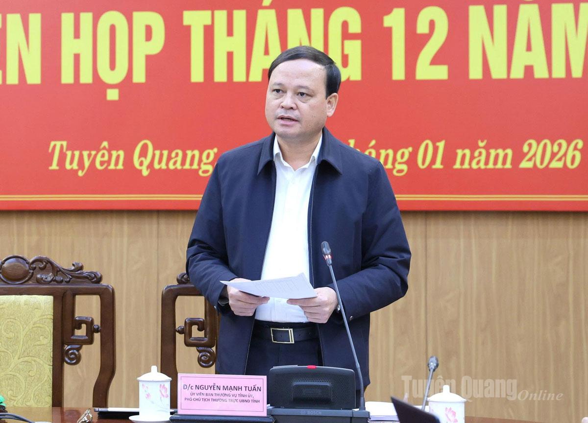 Đồng chí Nguyễn Mạnh Tuấn, Ủy viên Ban Thường vụ Tỉnh ủy, Phó Chủ tịch Thường trực UBND tinh phát biểu chỉ đạo phiên họp