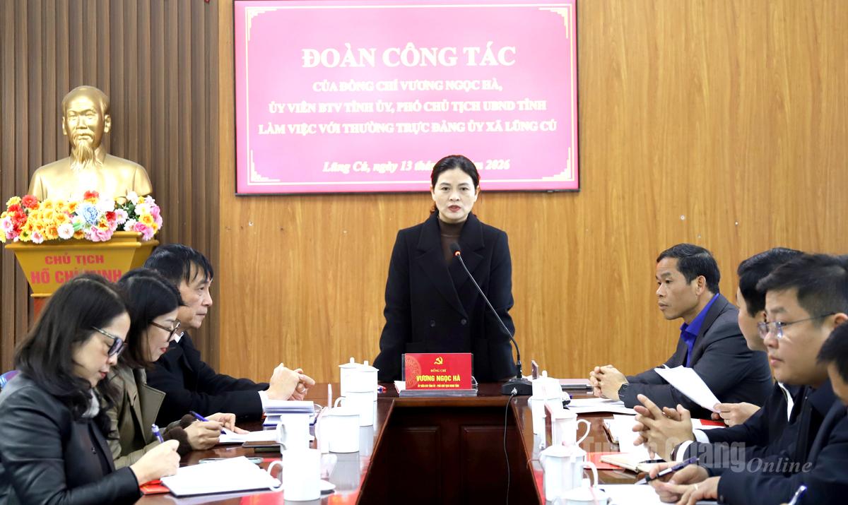 Phó Chủ tịch UBND tỉnh Vương Ngọc Hà phát biểu kết luận buổi làm việc.