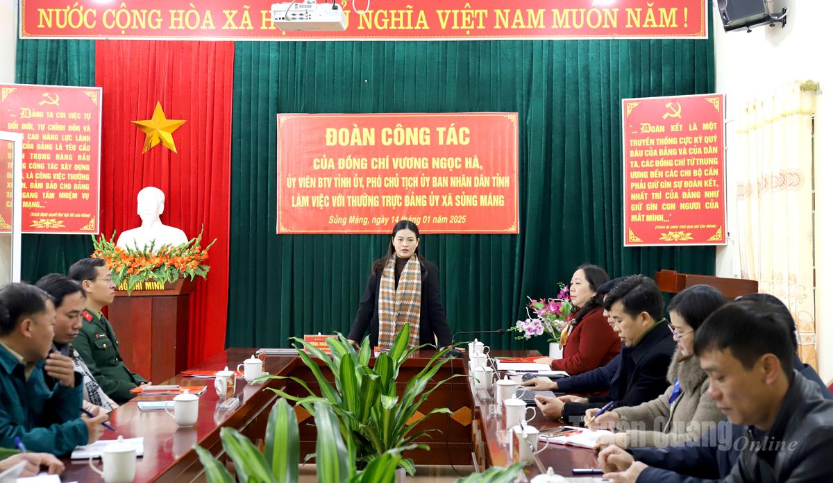 Phó Chủ tịch UBND tỉnh Vương Ngọc Hà phát biểu tại buổi làm việc.