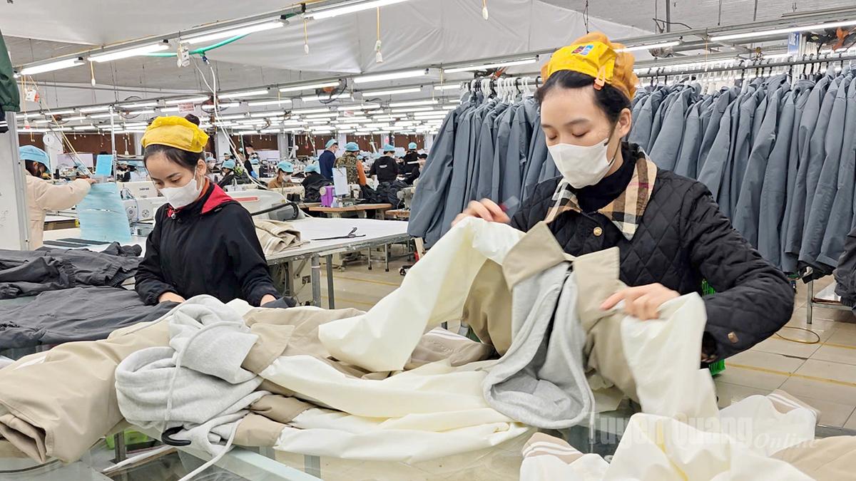 Công nhân Công ty May Tuyên Quang LGG - Chi nhánh Yên Sơn tăng ca, đảm bảo hoàn thành các đơn hàng sản phẩm.