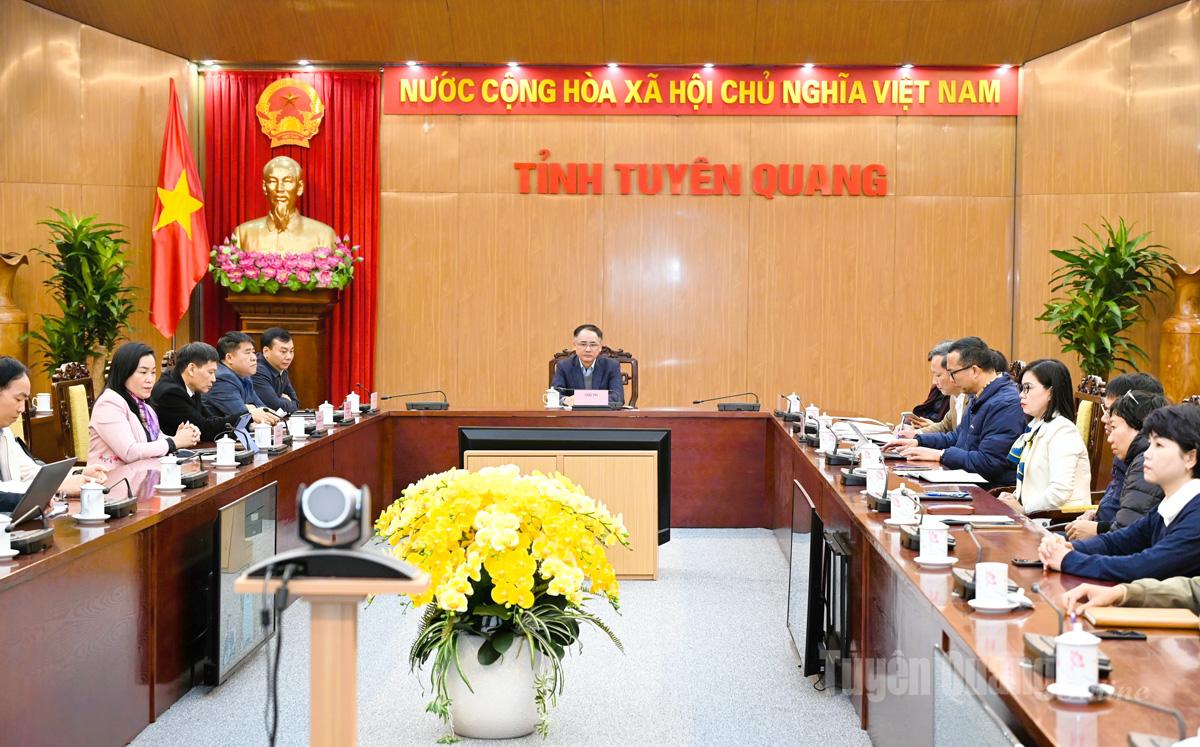 Đại diện Cục Thống kê tỉnh chủ trì hội nghị tại điểm cầu Tuyên Quang.