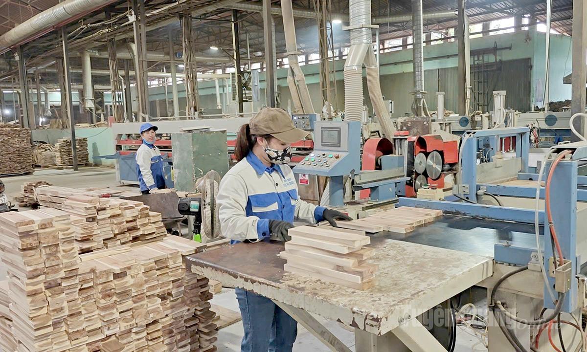 Công ty cổ phần Cơ khí Tuyên Quang đầu tư máy móc hiện đại trong sản xuất gỗ ván sàn xuất khẩu.