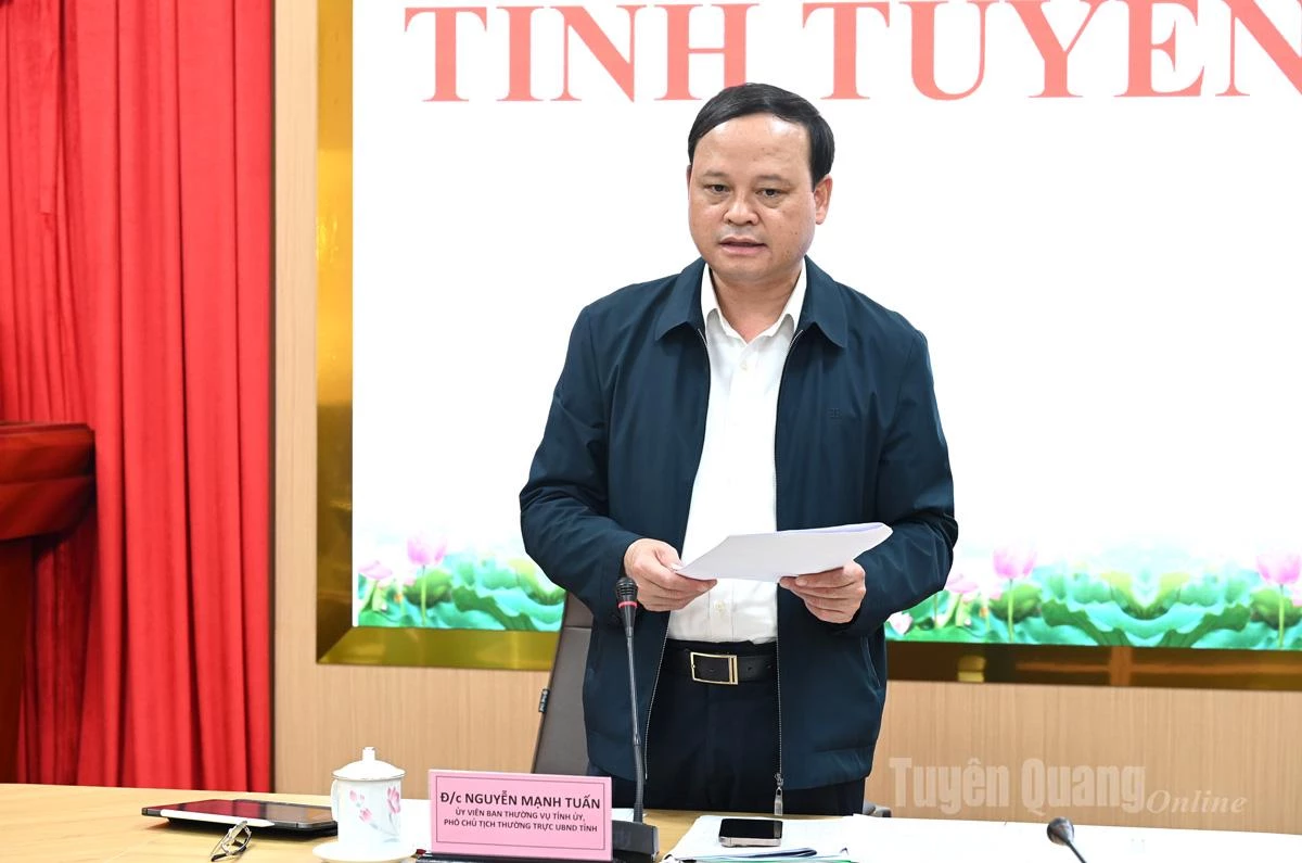 Đồng chí Nguyễn Mạnh Tuấn, Ủy viên Ban Thường vụ Tỉnh ủy, Phó Chủ tịch Thường trực UBND tỉnh, Trưởng Ban Chỉ đạo tỉnh phát biểu thảo luận tại điểm cầu tỉnh.