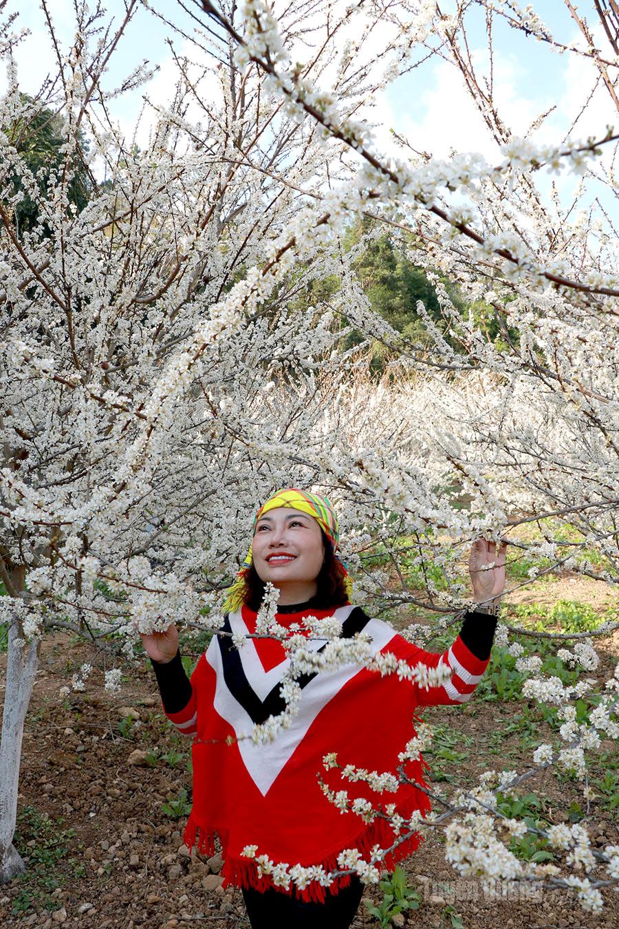 Tourists pose amid the white plum gardens.