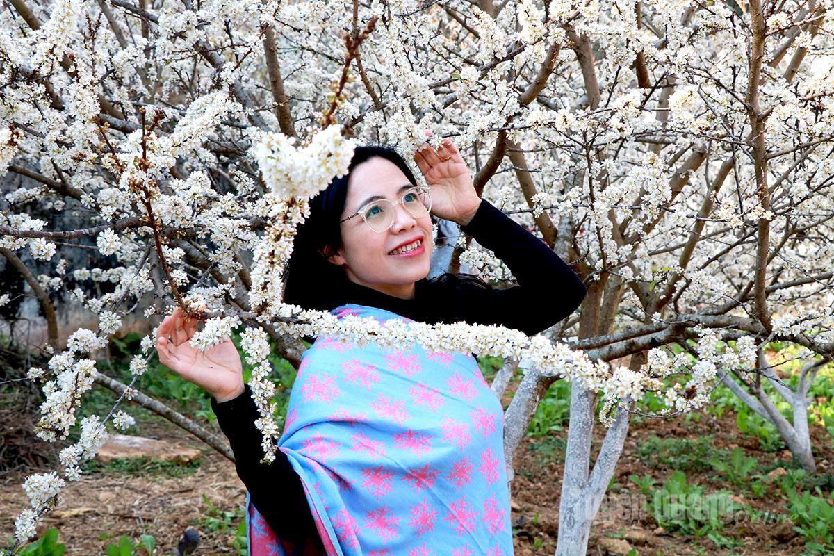 The white hues of early plum blossoms glow brightly, like drifting clouds of mist resting on tree branches – pure and delicate.