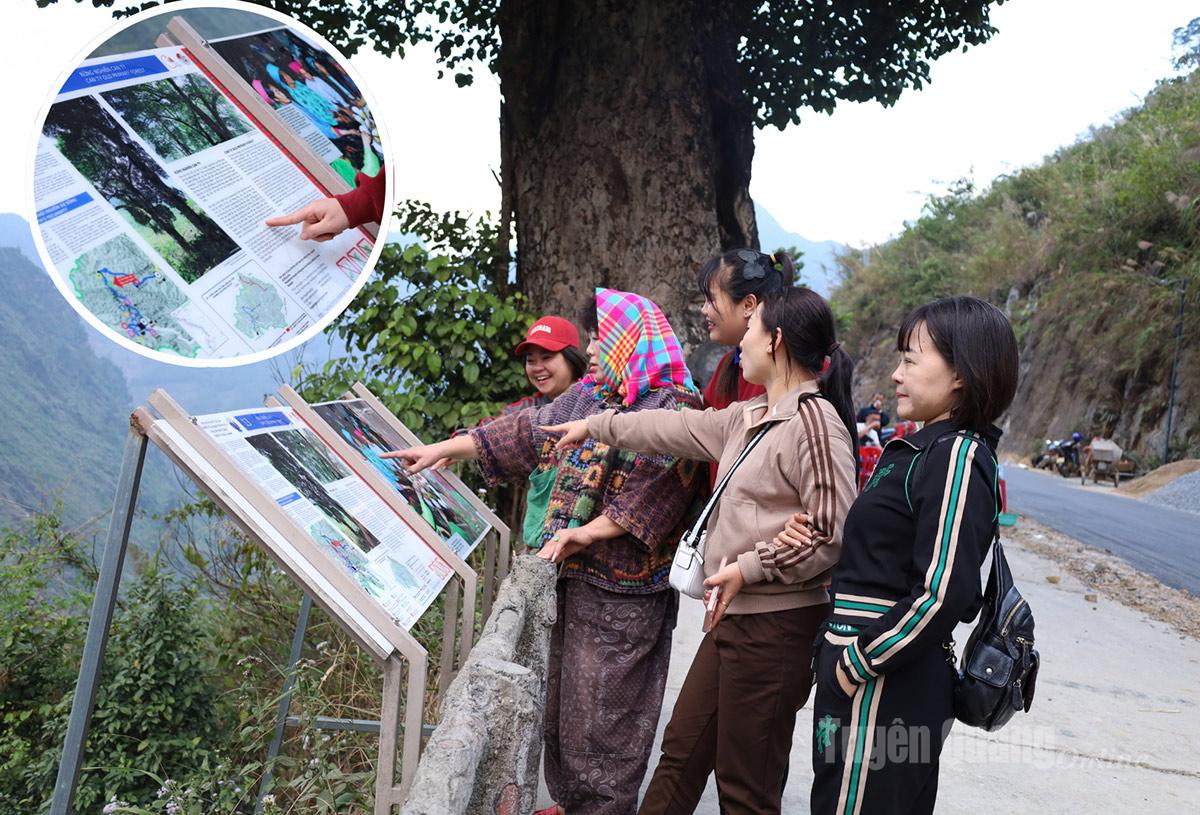 Du khách thích thú tìm hiểu, đọc thông tin giới thiệu về “cây cô đơn”, rừng nghiến cổ thụ tại điểm dừng chân.