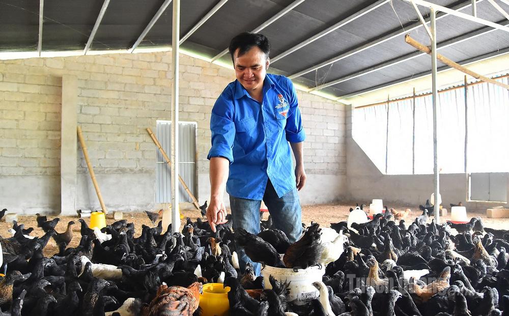 Anh Hà Văn Ngọc là một trong những thanh niên tiêu biểu về phát triển kinh tế giỏi.