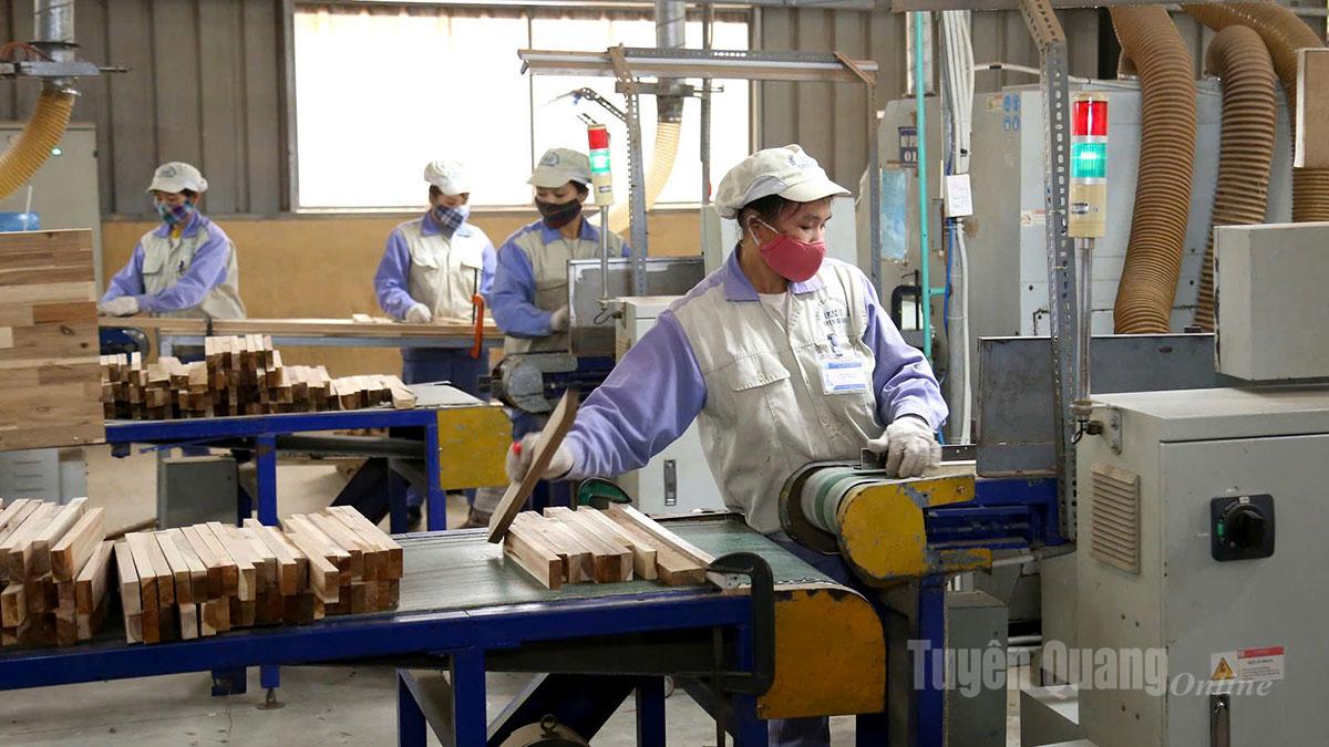 Sản xuất gỗ xuất khẩu tại Công ty cổ phần Woodsland Tuyên Quang, Cụm Công nghiệp Thắng Quân.