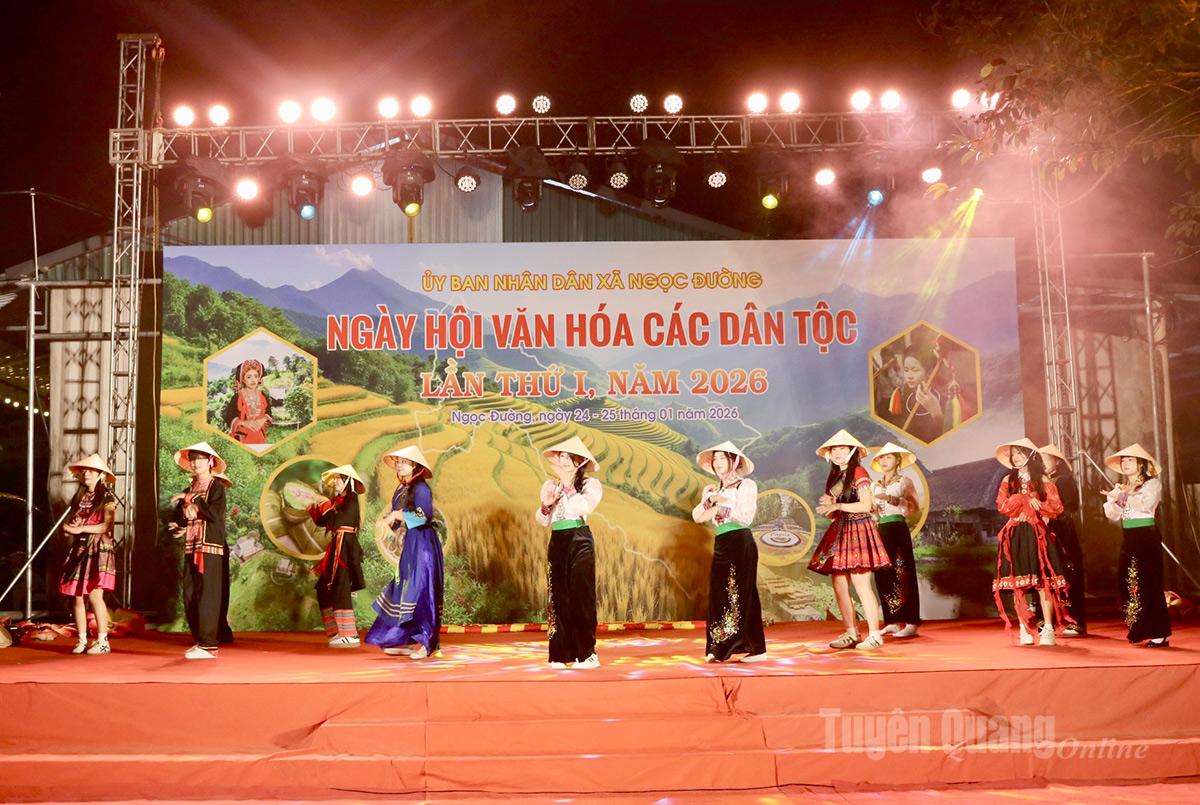 Tiết mục văn nghệ đặc sắc tại Ngày hội.