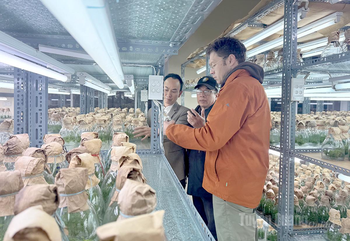 Các chuyên gia tham quan mô hình sản xuất giống bằng nuôi cấy mô tại Trung tâm thực nghiệm, thực hành Trường Đại học Tân Trào