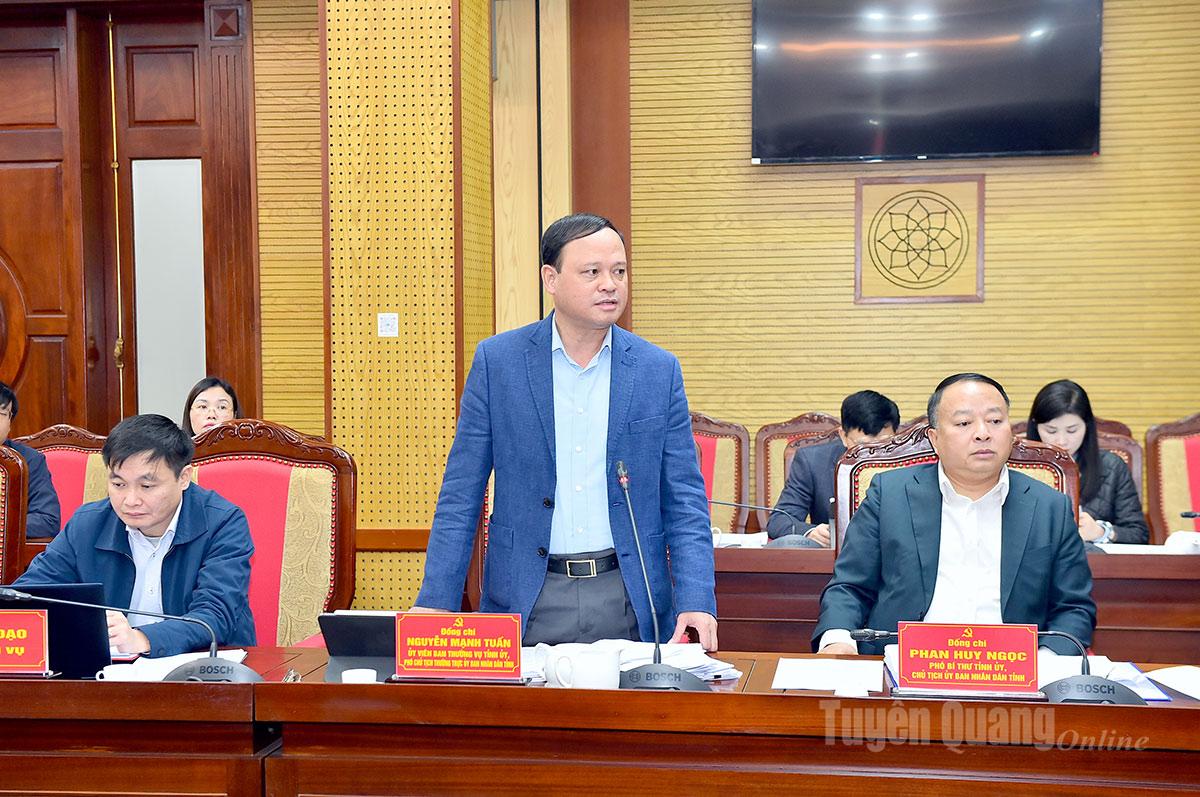 Đồng chí Phó Chủ tịch Thường trực UBND tỉnh Nguyễn Mạnh Tuấn phát biểu tại cuộc họp.