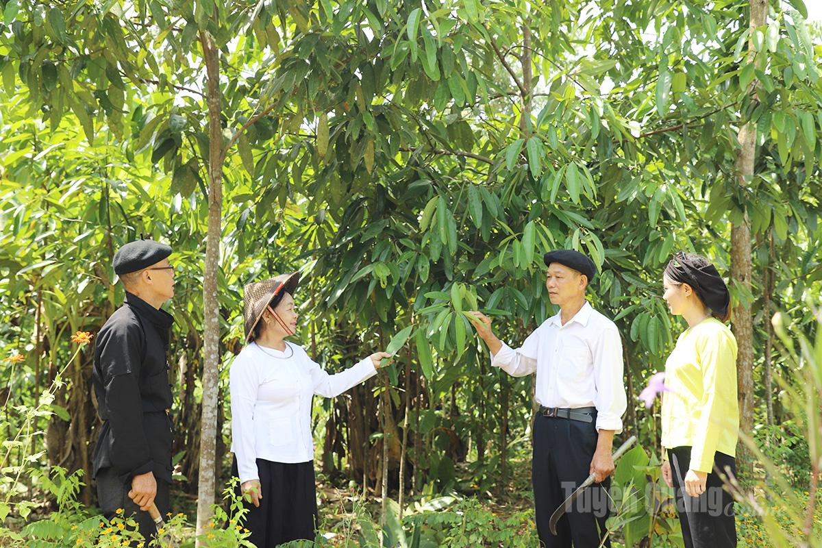 Đảng viên Chi bộ thôn Yên Lập trực thuộc Đảng bộ xã Yên Thành thi đua phát triển kinh tế, giảm nghèo bền vững.