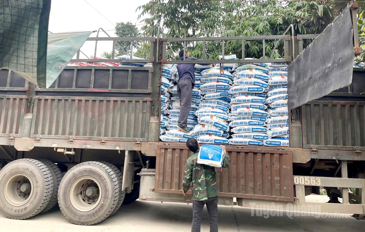 Phân bón đươc hỗ trợ cho nông dân các xã Hòa An, Tân An, Tân Mỹ.