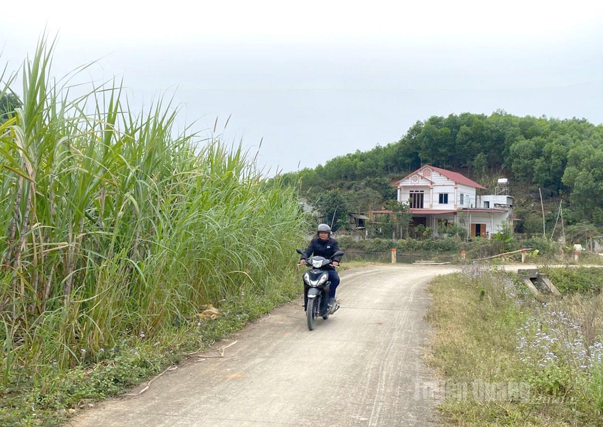 Các tuyến đường ở Lập Binh đã được bê tông hóa 100%, tạo thuận lợi để kinh tế nơi đây phát triển.