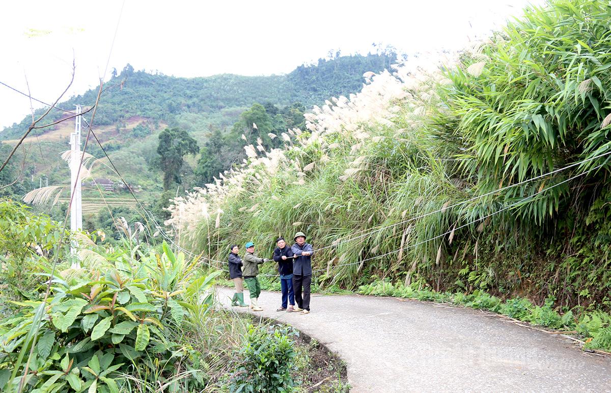 Đội thi công công trình cấp điện thôn Nà Bó
tích cực kéo dây dẫn hoàn thiện công trình cấp điện cho Nhân dân.