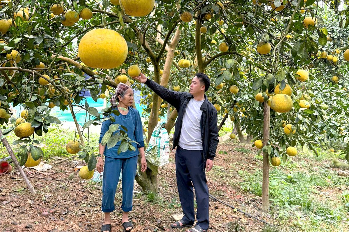 Bí thư Chi bộ Bắc Triển Hoàng Cao Thượng thăm mô hình phát triển kinh tế của Nhân dân trong thôn.