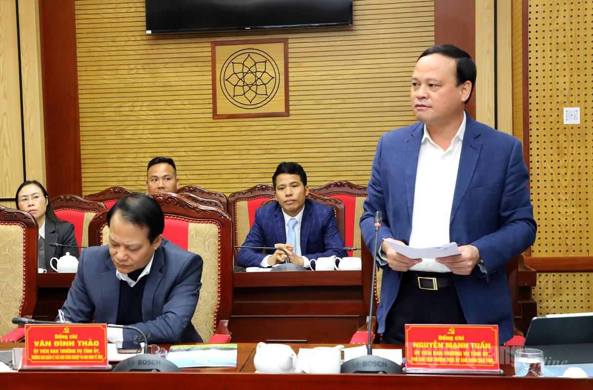 Phó Chủ tịch Thường trực UBND tỉnh Nguyễn Mạnh Tuấn phát biểu tại buổi làm việc.