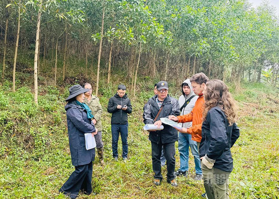 Experts evaluated the pilot model for improving large-timber forest plantations in Trung Son Commune.