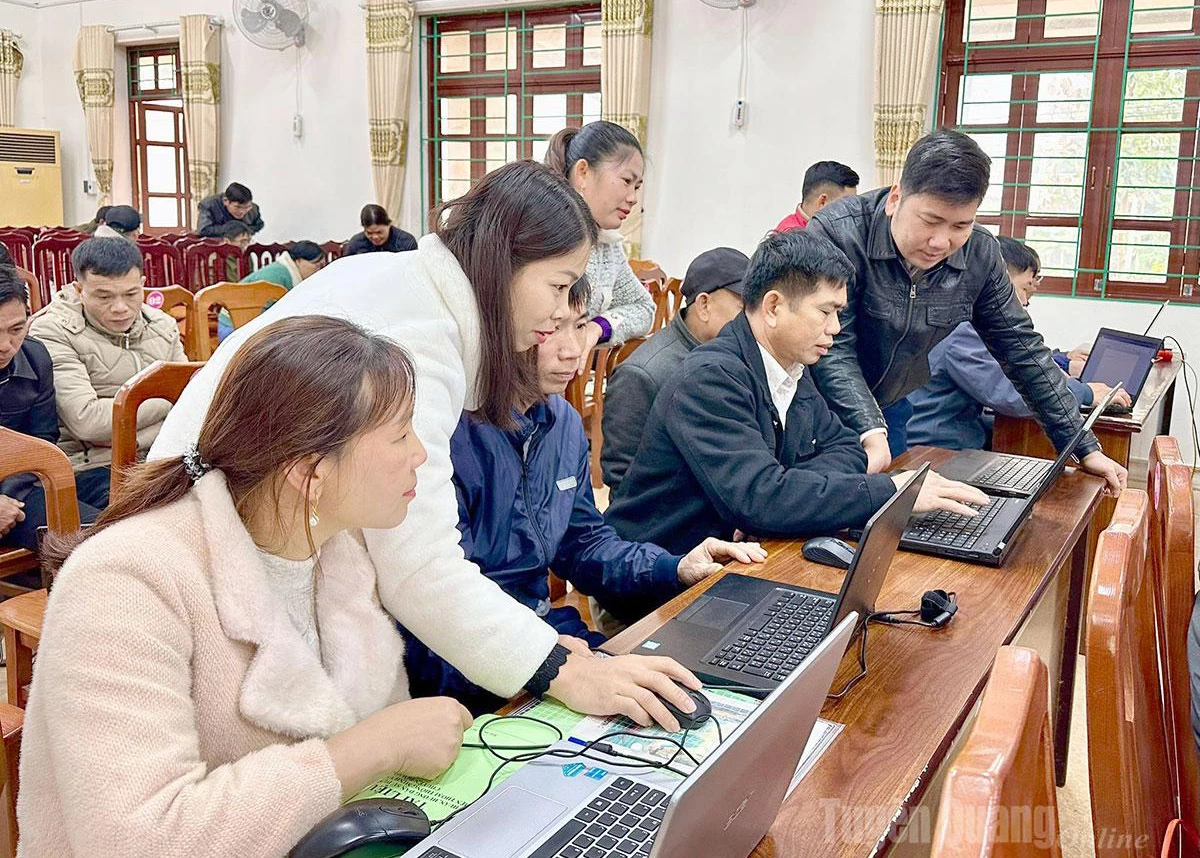 Hoa An Commune conducts computer skills training for Party cell secretaries and village heads.