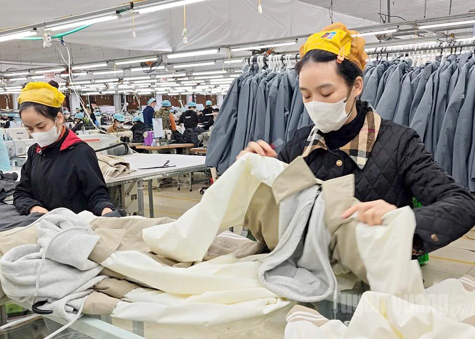 Workers at Tuyen Quang LGG Garment Company – Yen Son Branch work overtime to ensure timely completion of product orders.