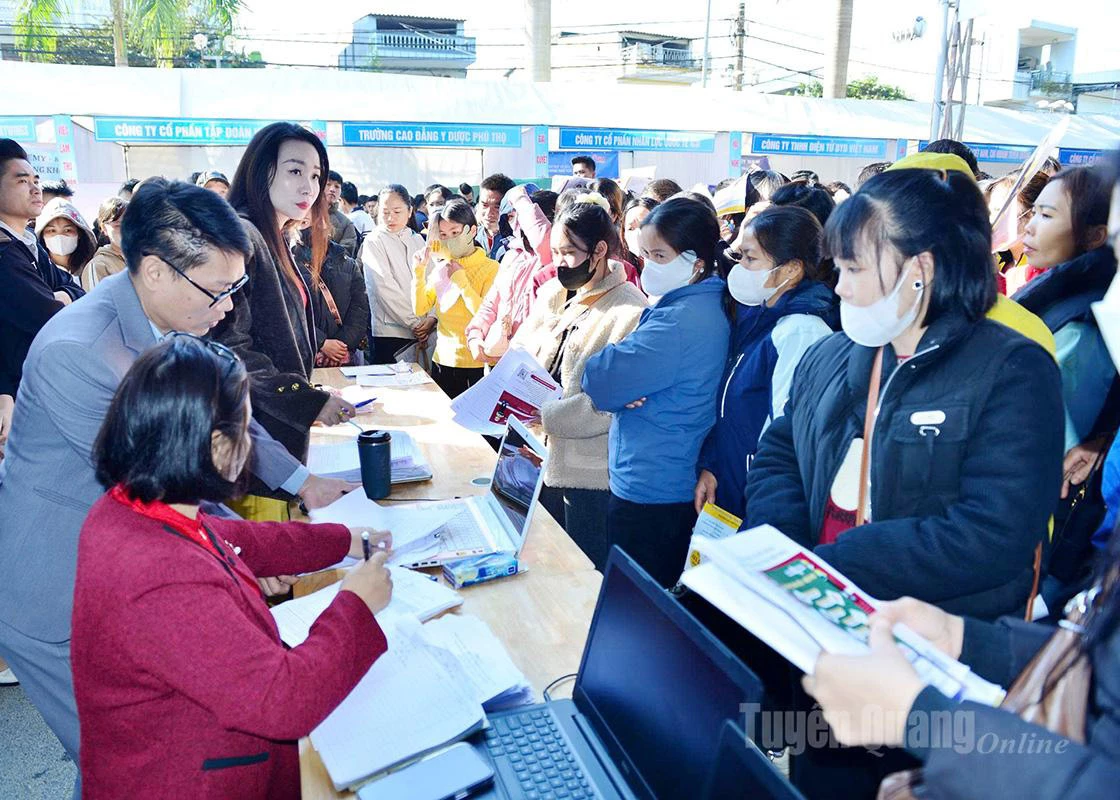 The Employment Service and Historical Archives Centre coordinates with agencies and enterprises to provide career counselling and vocational guidance for students and workers across the province.