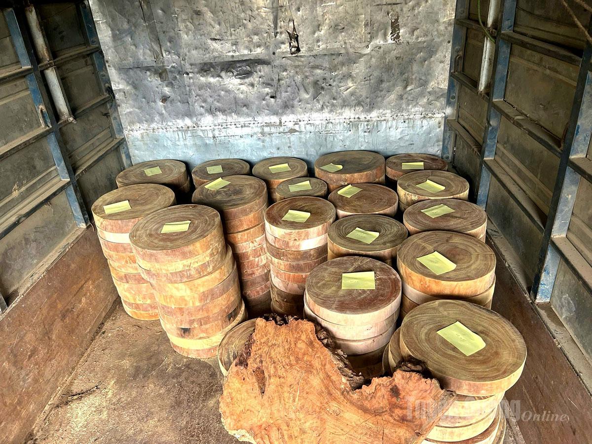 Gỗ Nghiến thu được thuộc loài nguy cấp quý hiếm nhóm IIA, tổng khối lượng 0,596m3.