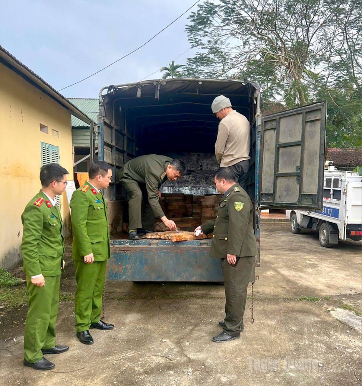 Các lực lượng chức năng kiểm tra số gỗ Nghiến bị vận chuyển trái phép.