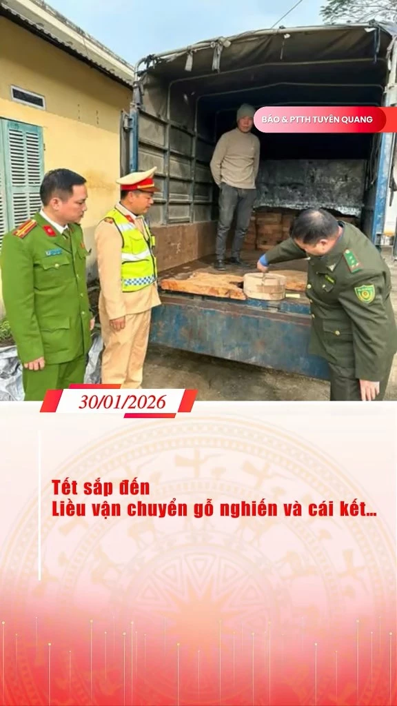 Tết sắp đến, liều vận chuyển 172 chiếc thớt v&agrave; c&aacute;i kết&hellip;