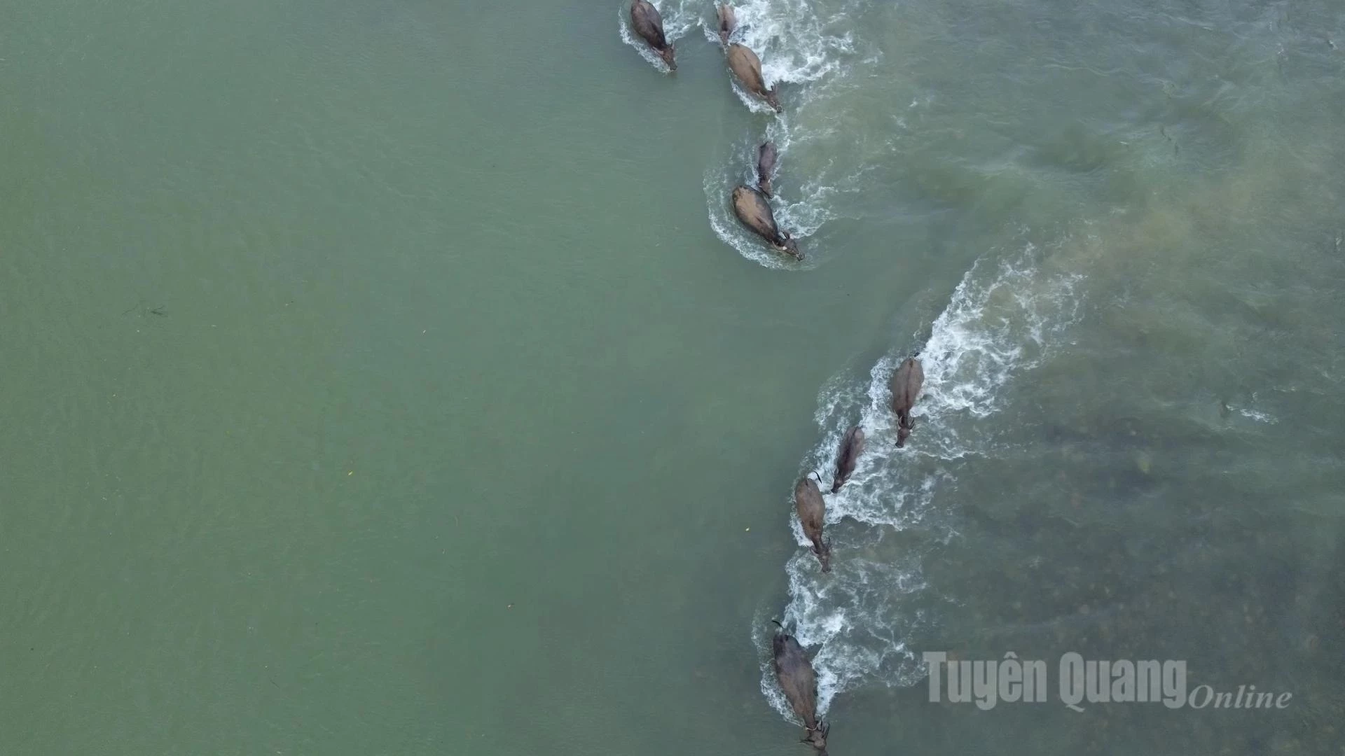 Làng Tày Hạ Thành thơ mộng giữa đông