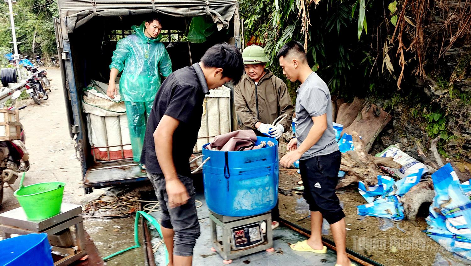 The weighing process is carried out swiftly.