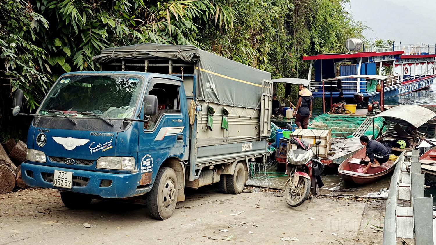 Thuong Lam cage fish are supplied to markets such as Ha Giang, Phu Tho and Ha Noi, providing stable income for local households ahead of the Lunar New Year.