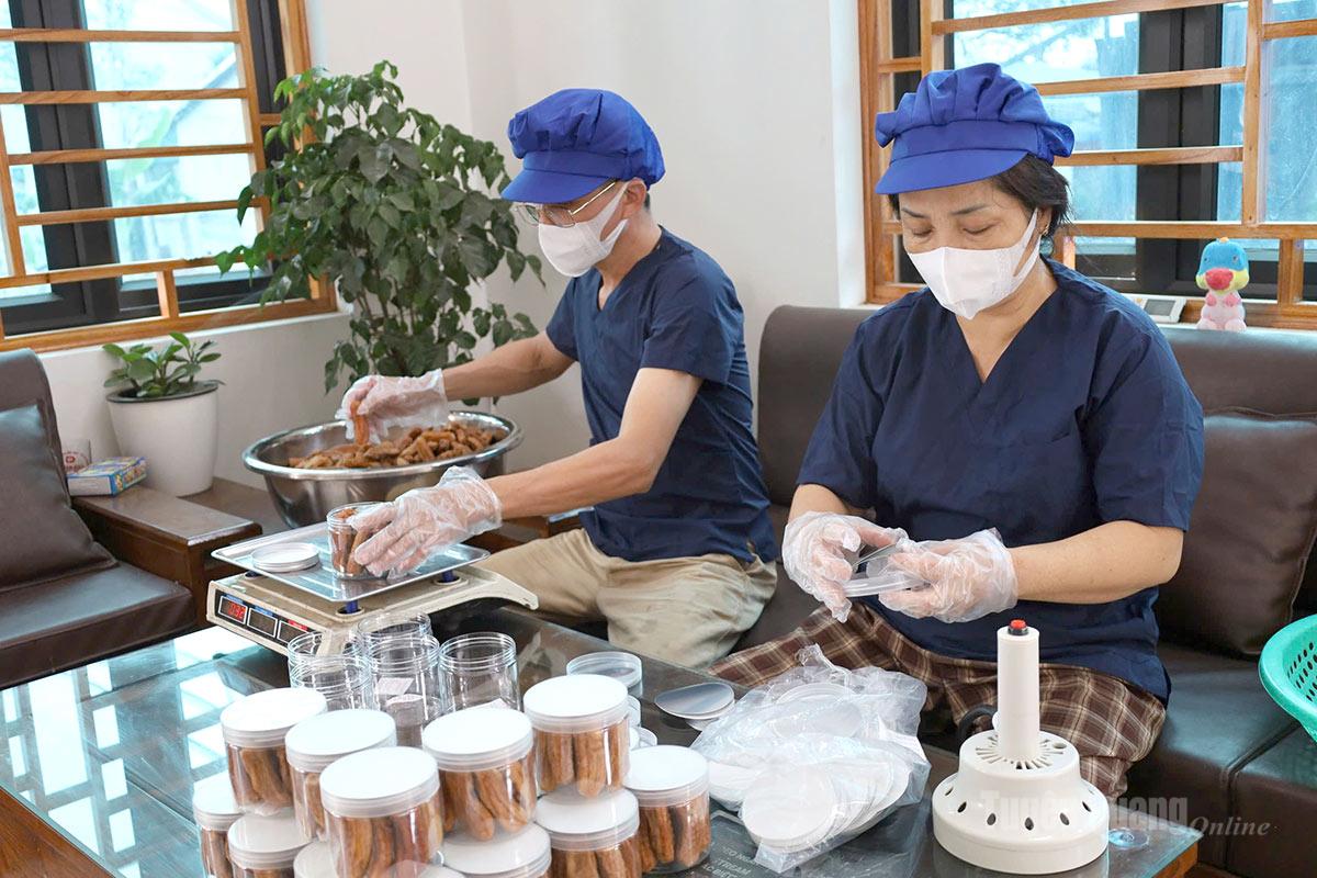 Công nhân Hợp tác xã Tuấn Dũng (Mèo Vạc) kiểm tra đàn ong mùa hoa Bạc hà.