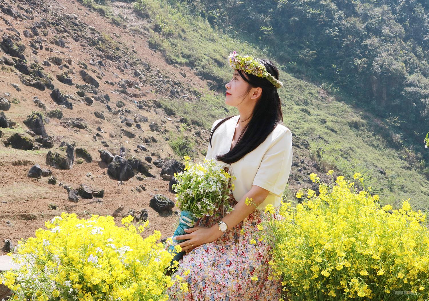 Tourists delight in taking souvenir photos with mustard flowers on Tham Ma Pass, Pho Bang commune.
