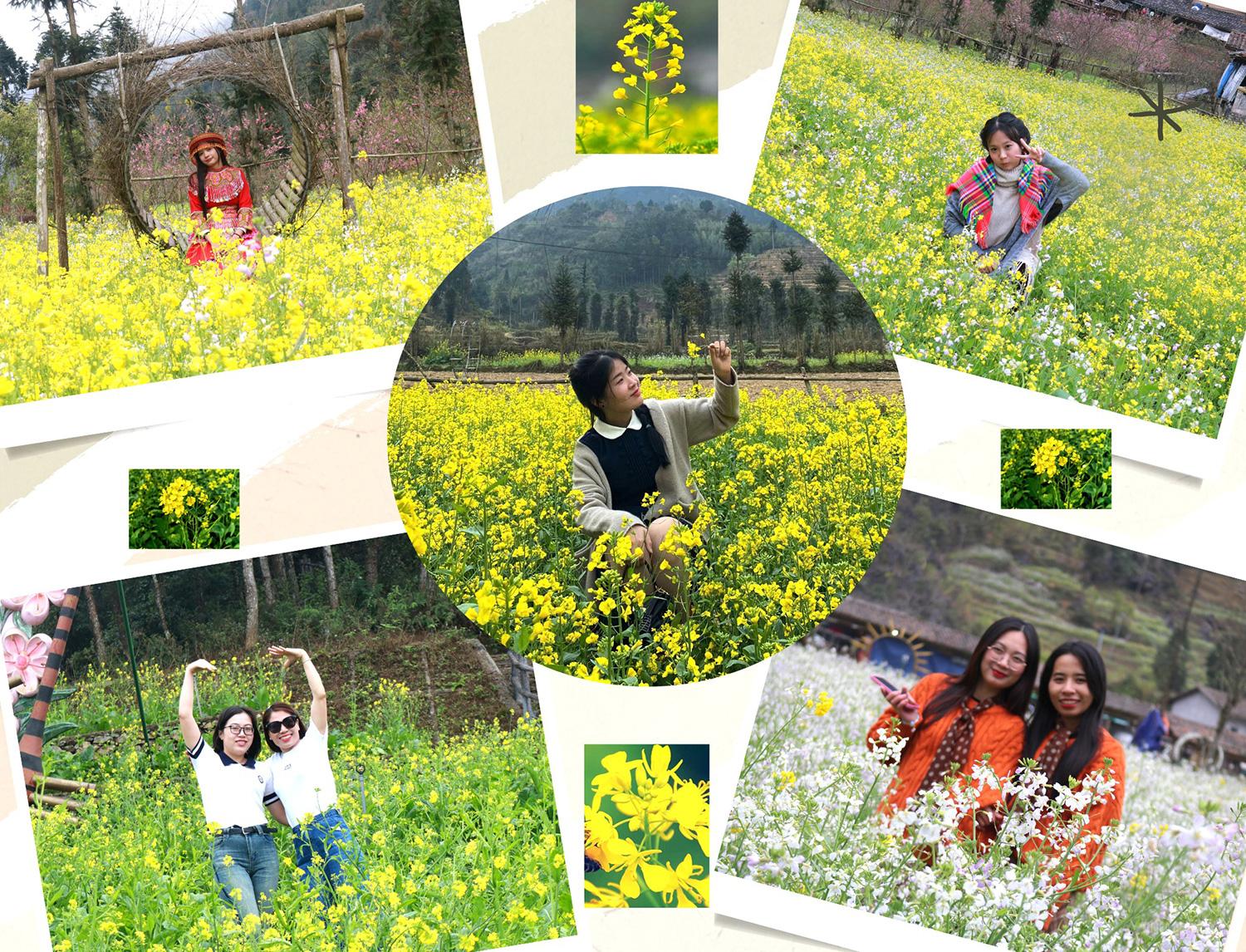 The mustard flower season in full bloom keeps visitors lingering.