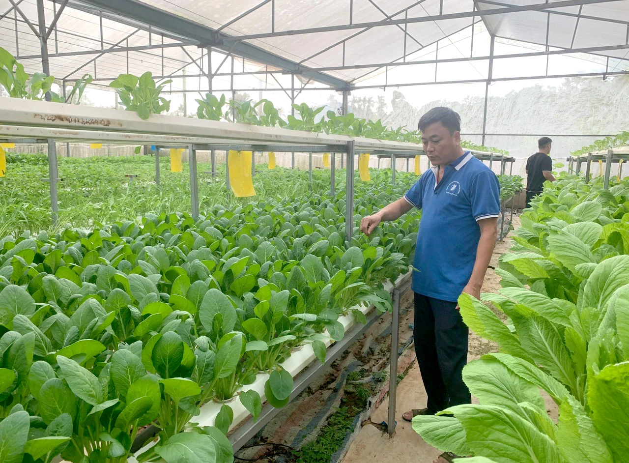 Vai trò đội ngũ cán bộ thôn được xã Yên Sơn đặt lên hàng đầu trong phát hiện, báo cáo các sai phạm trong quản lý trật tự xây dựng tại địa phương.