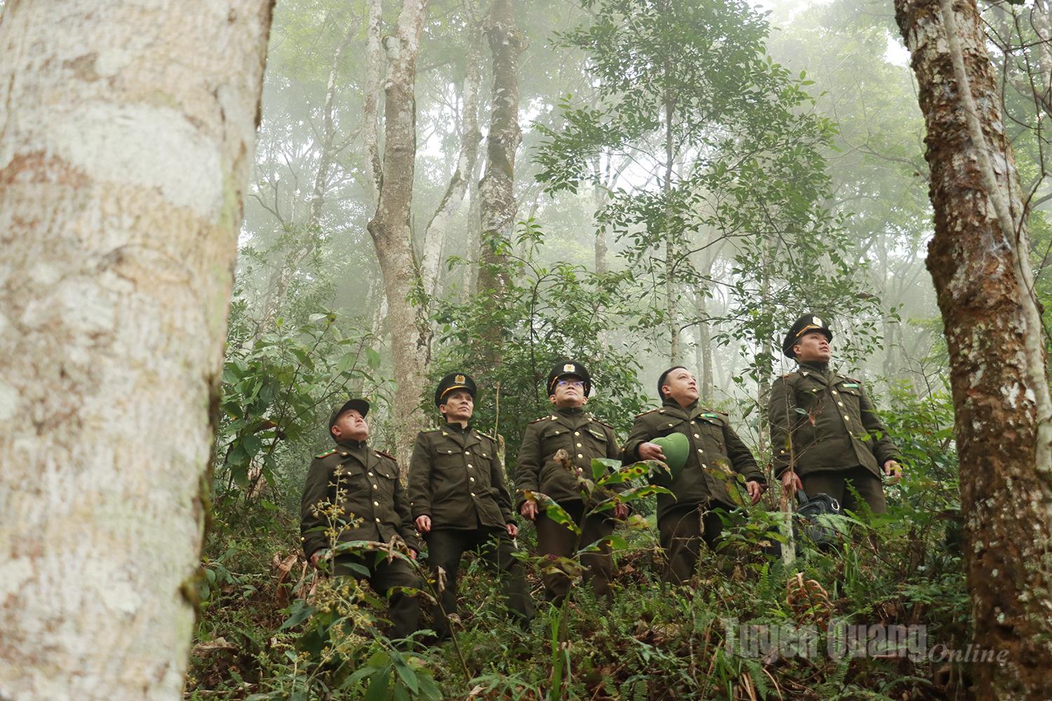 Lặng lẽ nhưng bền bỉ, lực lượng kiểm l&acirc;m Hạt Kiểm l&acirc;m khu vực XVI ng&agrave;y đ&ecirc;m b&aacute;m rừng, g&oacute;p phần giữ g&igrave;n m&agrave;u xanh Khu bảo tồn thi&ecirc;n nhi&ecirc;n Ch&iacute; S&aacute;n.