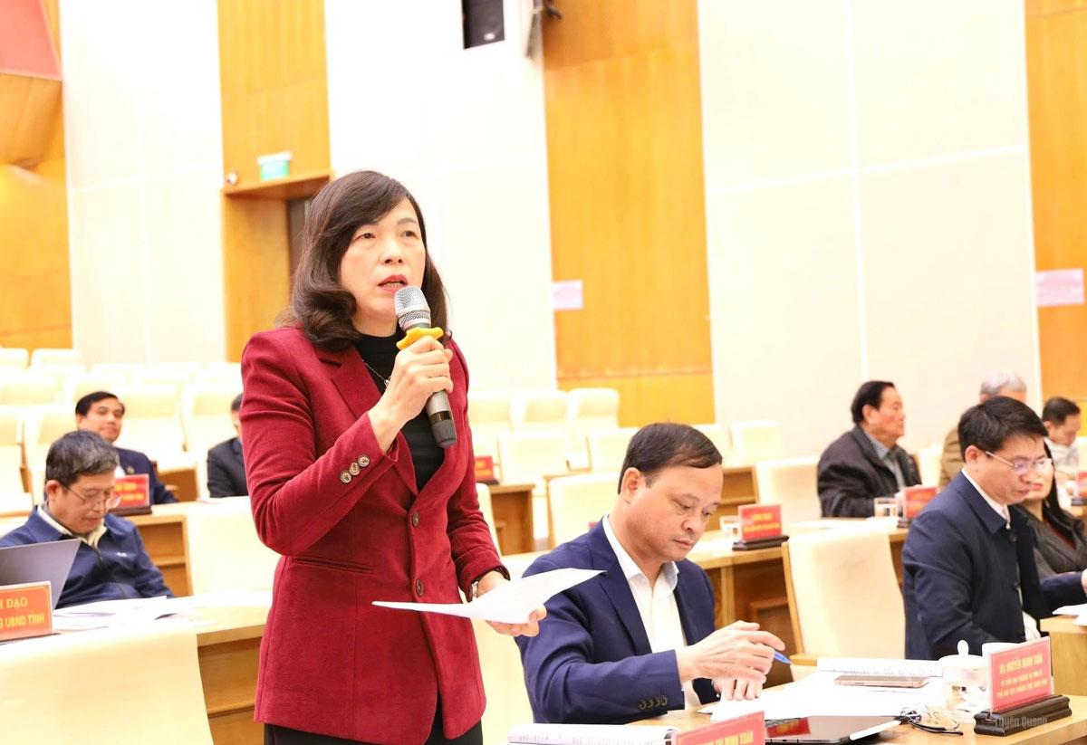 Đồng chí Phạm Thị Minh Xuân, Ủy viên Ban Thường vụ Tỉnh ủy, Phó Chủ tịch HĐND tỉnh phát biểu tại hội nghị.