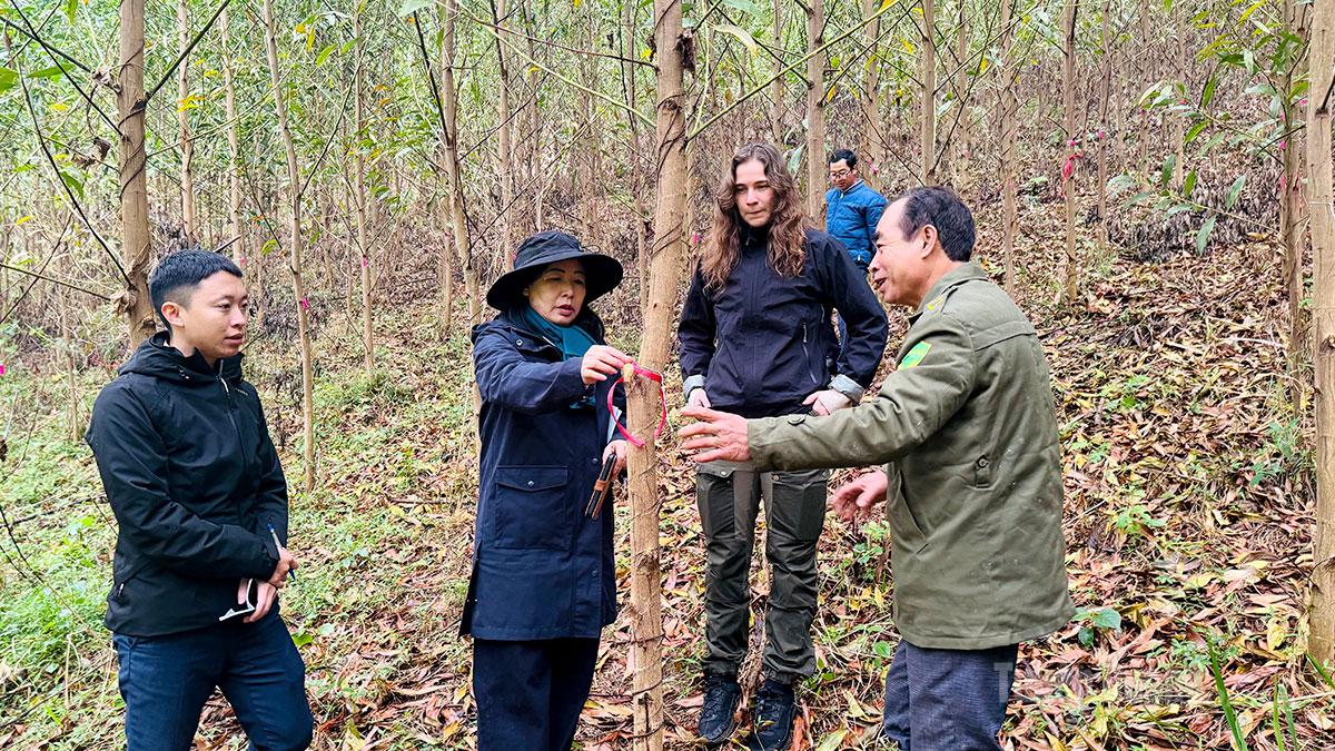 Các chuyên gia, nhà khoa học của Tập đoàn IREKA và Viện lâm nghiệp kiểm tra mã số truy xuất vùng trồng rừng tại xã Trung Sơn.