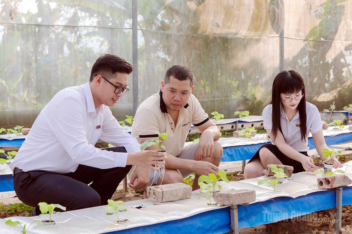 Cán bộ Agribank Chi nhánh Yên Minh thăm mô hình trồng rau chất lượng cao của Hợp tác xã sản xuất Nông nghiệp Ngọc Bích.