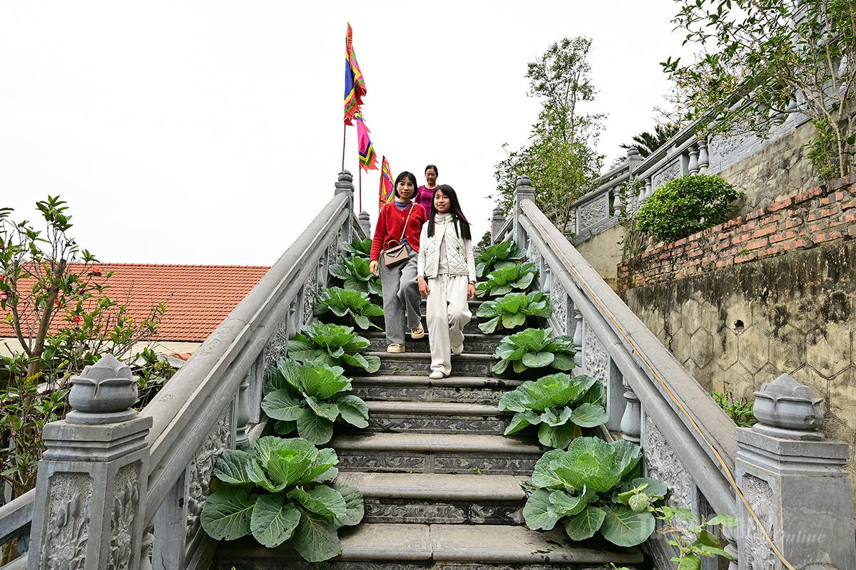 The green, serene and tranquil atmosphere of the temples.