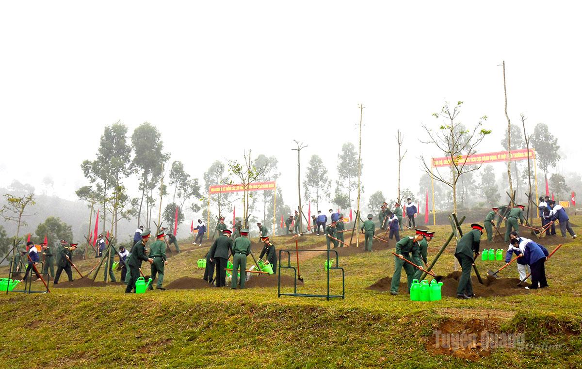Không khí Tết trồng cây tại Sư đoàn 174.