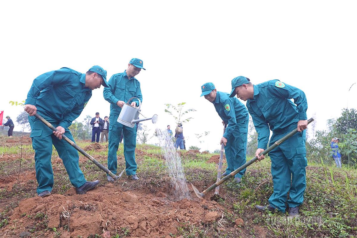 Lực lượng dân quân tự vệ tham gia trồng cây.