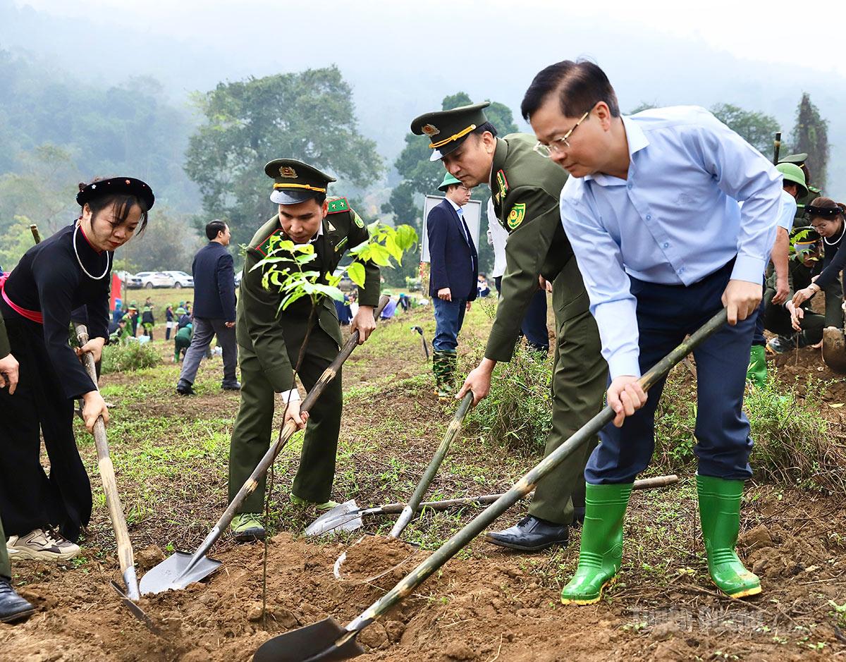 Trưởng ban Tổ chức Tỉnh uỷ Trần Quang Minh tham gia trồng cây tại Lễ phát động.