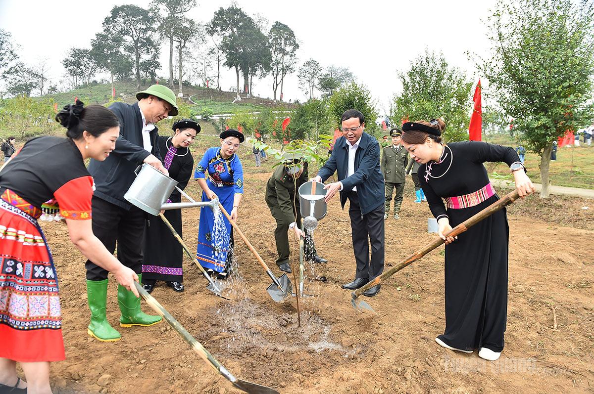 Đồng chí Phó Chủ tịch Thường trực UBND tỉnh tham gia trồng cây.