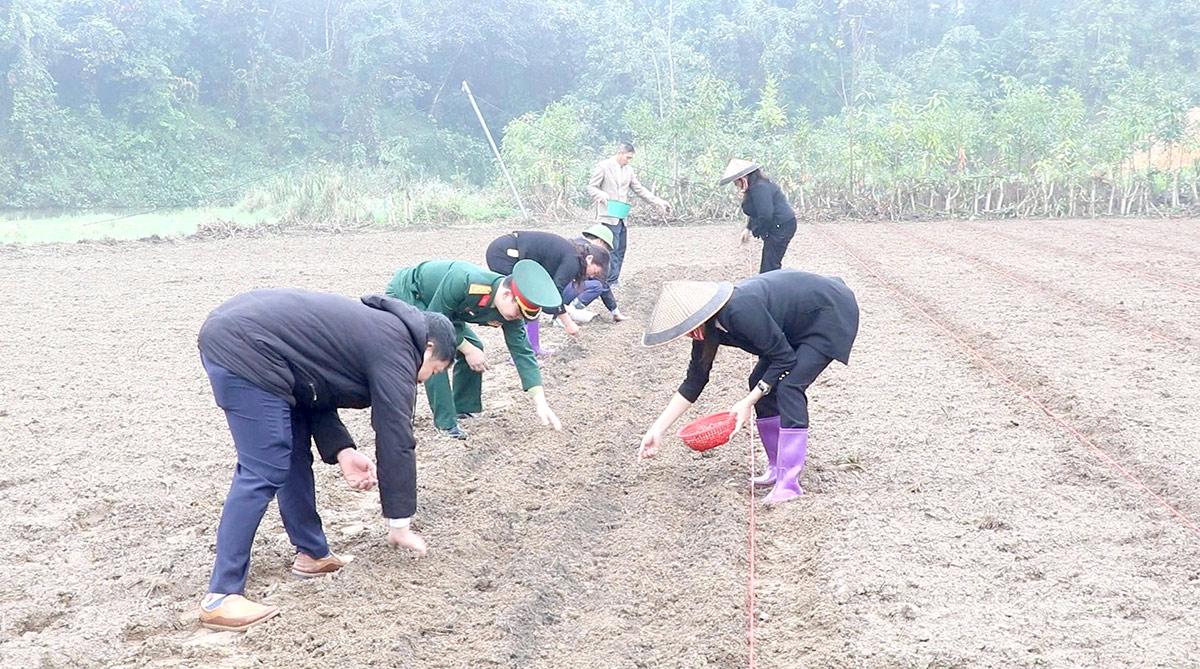 Lãnh đạo xã Yên Thành cùng Nhân dân tham gia thi trồng lạc tại khu ruộng thôn Yên Lập.