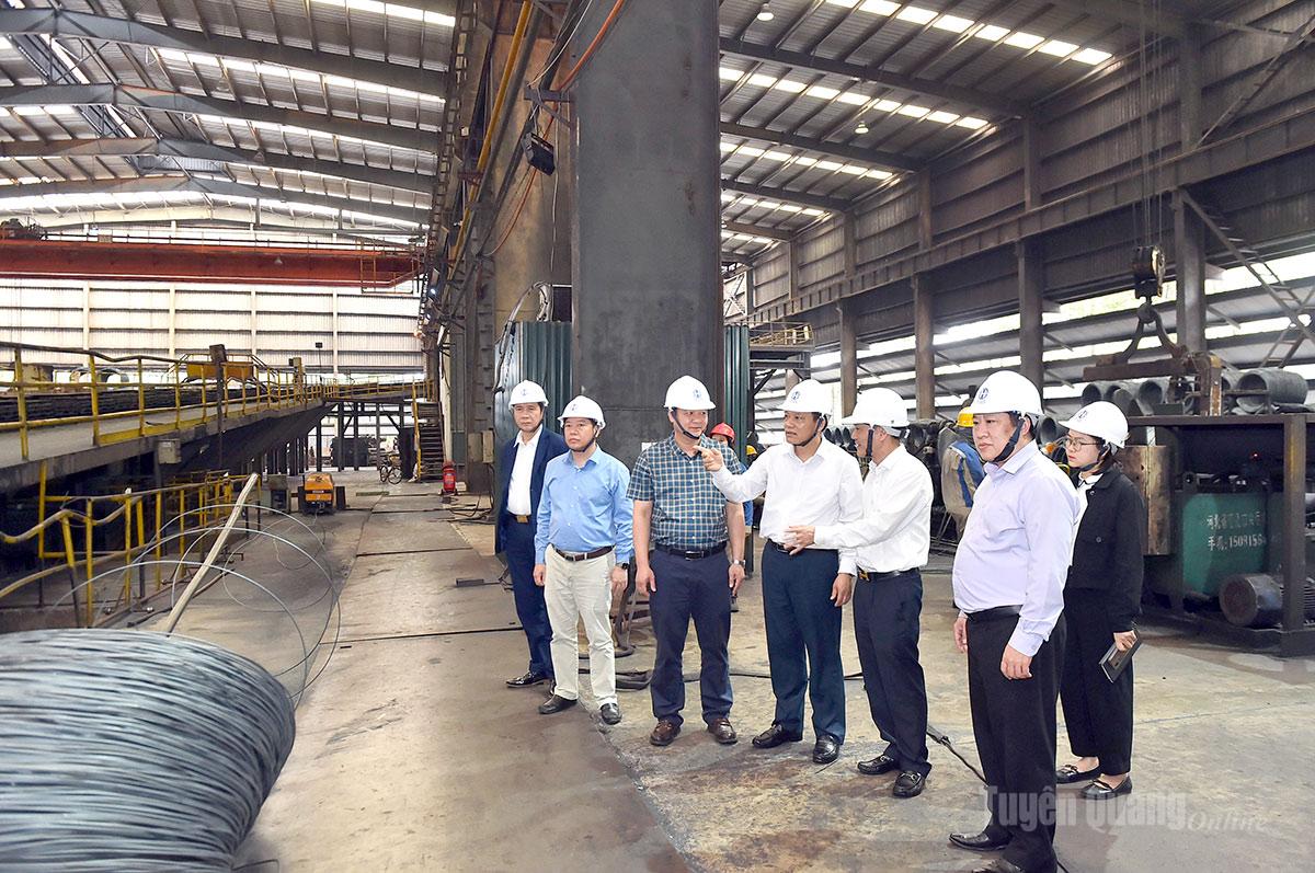  Trưởng Ban Quản lý các khu công nghiệp và kinh tế cửa khẩu Vân Đình Thảo thăm dây chuyền sản xuất thép tại Công ty TNHH Gang thép Tuyên Quang.